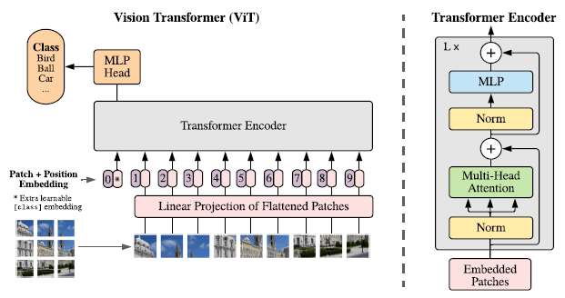 ViT：视觉Transformer-VenusAI